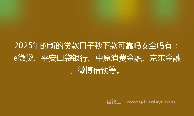 2025年的新的贷款口子秒下款可靠吗安全吗有：e微贷、平安口袋银行、中原消费金融、京东金融、微博借钱等。