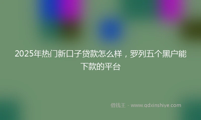 2025年热门新口子贷款怎么样，罗列五个黑户能下款的平台