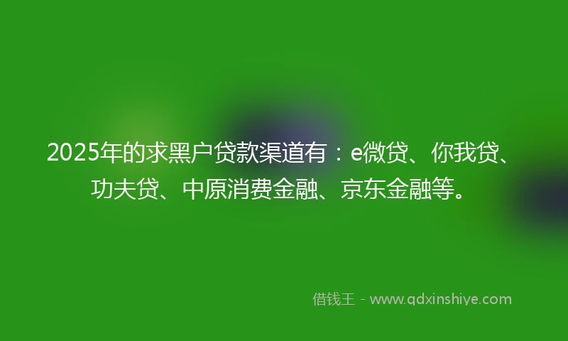 2025年的求黑户贷款渠道有：e微贷、你我贷、功夫贷、中原消费金融、京东金融等。