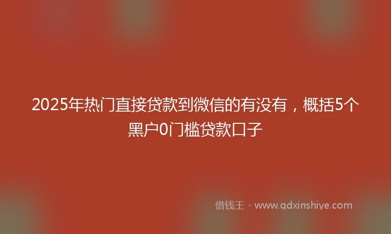 2025年热门直接贷款到微信的有没有，概括5个黑户0门槛贷款口子