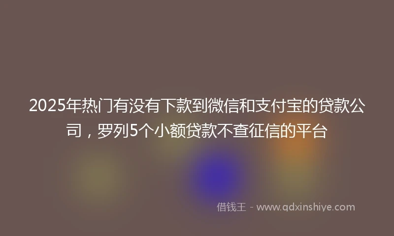 2025年热门有没有下款到微信和支付宝的贷款公司，罗列5个小额贷款不查征信的平台
