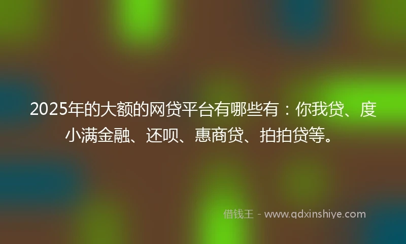 2025年的大额的网贷平台有哪些有：你我贷、度小满金融、还呗、惠商贷、拍拍贷等。