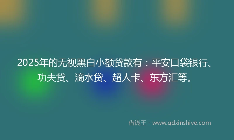 2025年的无视黑白小额贷款有：平安口袋银行、功夫贷、滴水贷、超人卡、东方汇等。
