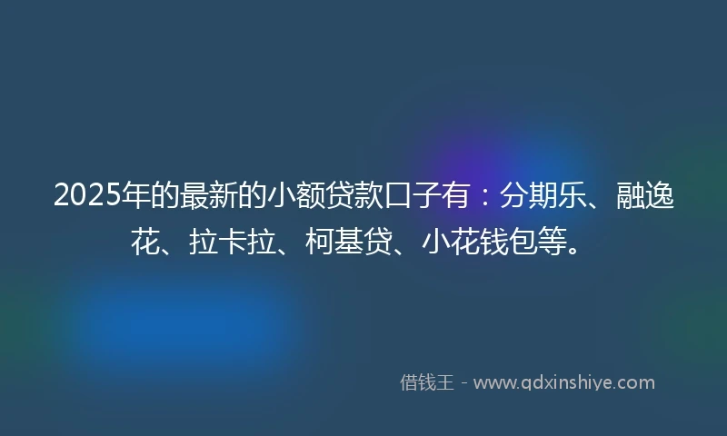 2025年的最新的小额贷款口子有：分期乐、融逸花、拉卡拉、柯基贷、小花钱包等。
