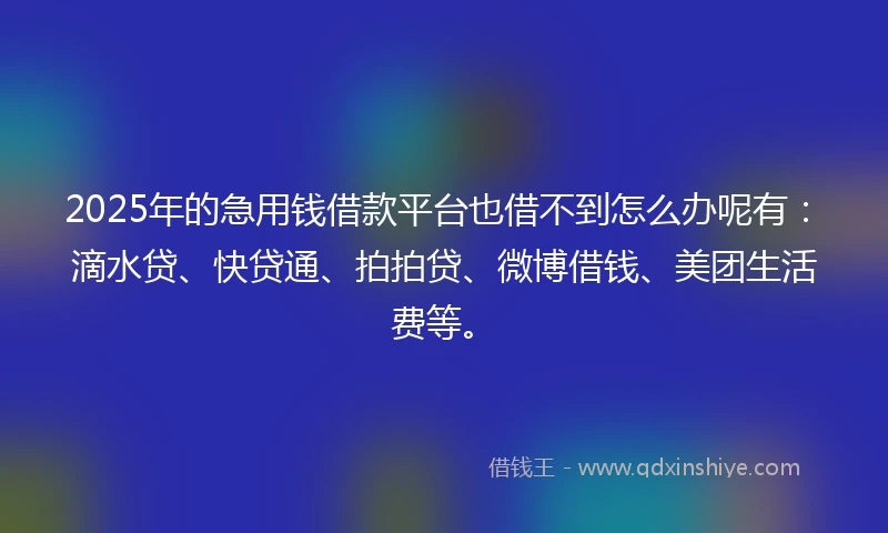 2025年的急用钱借款平台也借不到怎么办呢有：滴水贷、快贷通、拍拍贷、微博借钱、美团生活费等。