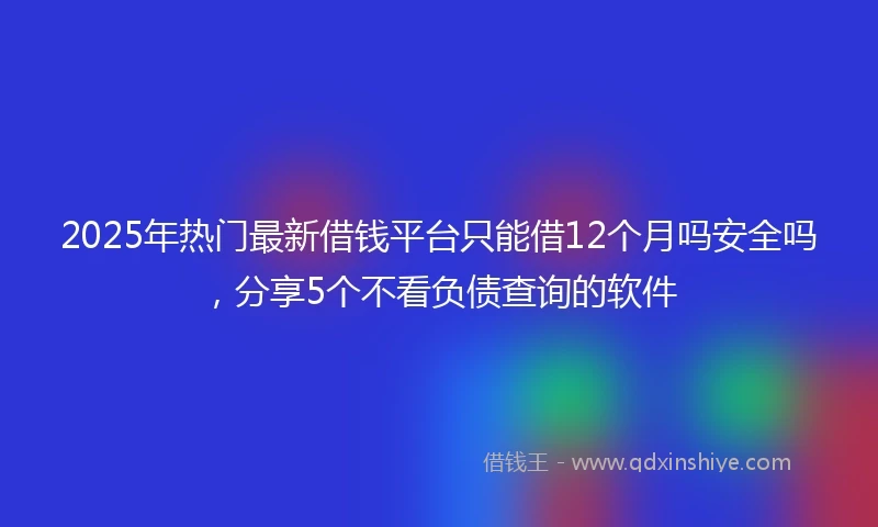 2025年热门最新借钱平台只能借12个月吗安全吗，分享5个不看负债查询的软件