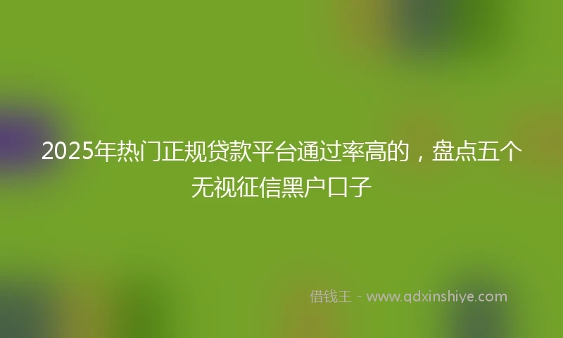 2025年热门正规贷款平台通过率高的，盘点五个无视征信黑户口子