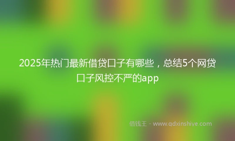 2025年热门最新借贷口子有哪些，总结5个网贷口子风控不严的app