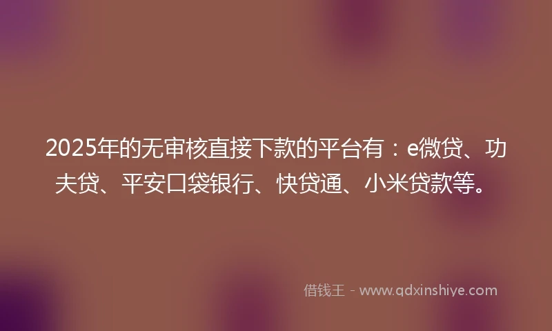 2025年的无审核直接下款的平台有：e微贷、功夫贷、平安口袋银行、快贷通、小米贷款等。