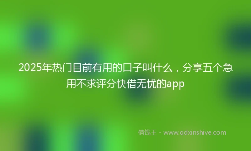 2025年热门目前有用的口子叫什么，分享五个急用不求评分快借无忧的app