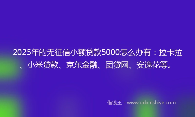 2025年的无征信小额贷款5000怎么办有：拉卡拉、小米贷款、京东金融、团贷网、安逸花等。
