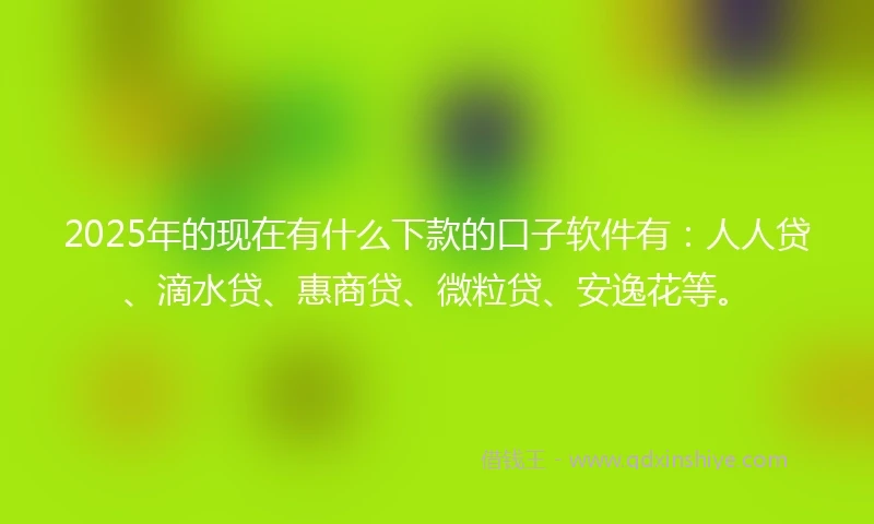 2025年的现在有什么下款的口子软件有：人人贷、滴水贷、惠商贷、微粒贷、安逸花等。