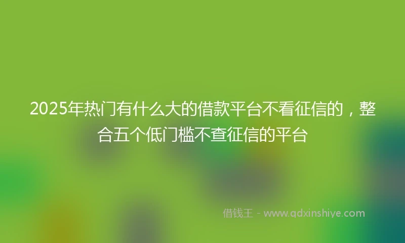 2025年热门有什么大的借款平台不看征信的，整合五个低门槛不查征信的平台