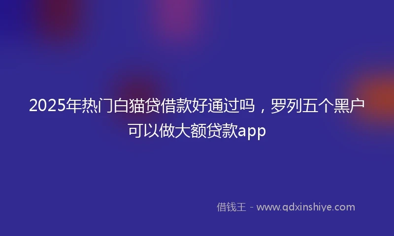 2025年热门白猫贷借款好通过吗，罗列五个黑户可以做大额贷款app