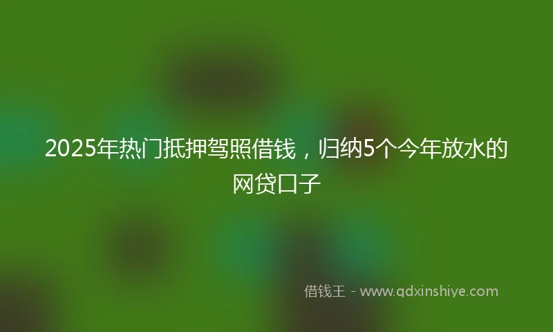 2025年热门抵押驾照借钱，归纳5个今年放水的网贷口子