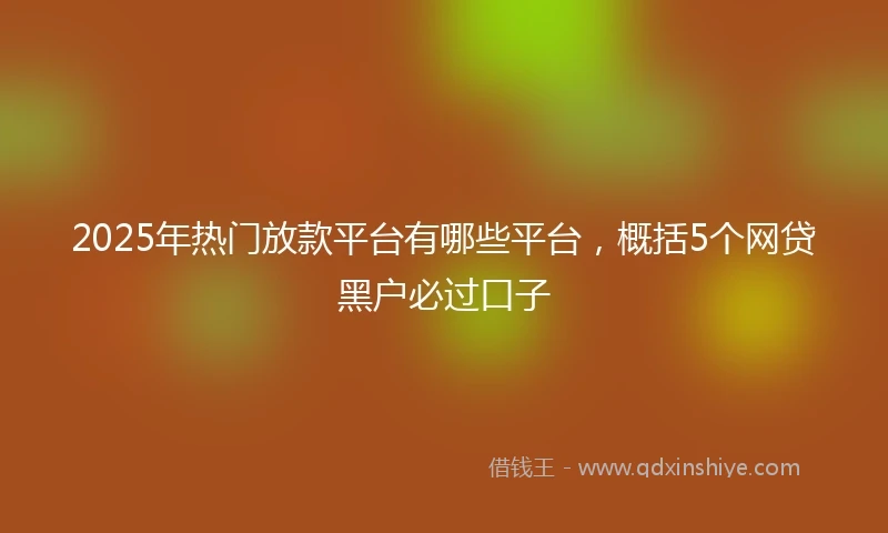 2025年热门放款平台有哪些平台，概括5个网贷黑户必过口子