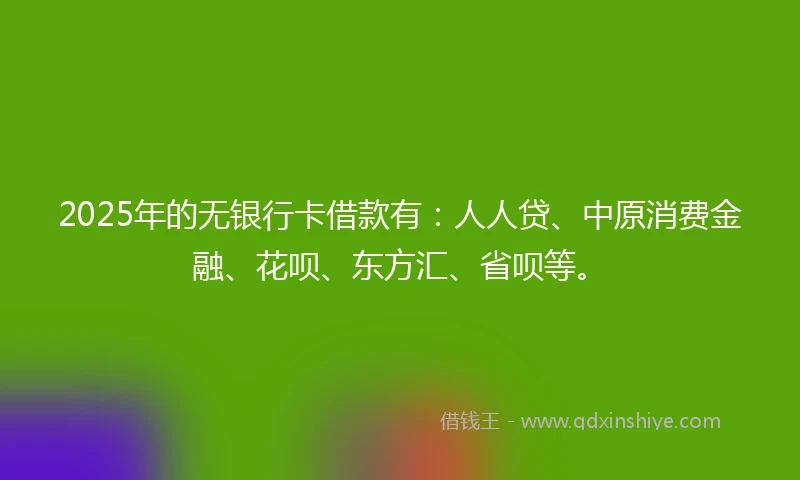 2025年的无银行卡借款有：人人贷、中原消费金融、花呗、东方汇、省呗等。