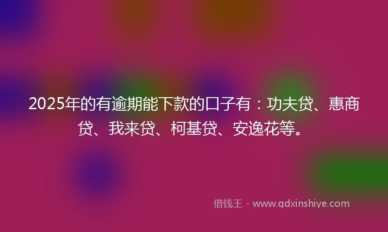 2025年的有逾期能下款的口子有：功夫贷、惠商贷、我来贷、柯基贷、安逸花等。