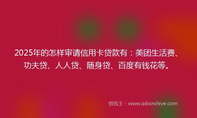 2025年的怎样审请信用卡贷款有：美团生活费、功夫贷、人人贷、随身贷、百度有钱花等。