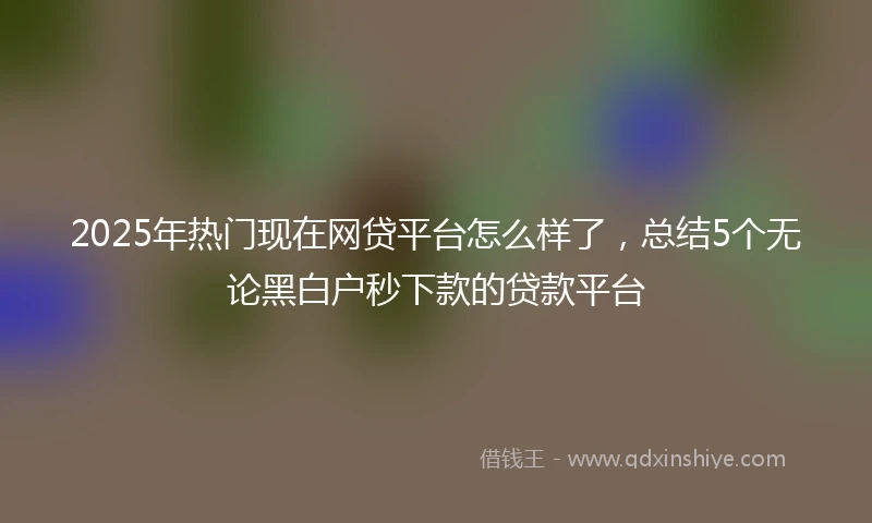2025年热门现在网贷平台怎么样了，总结5个无论黑白户秒下款的贷款平台