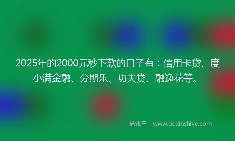 2025年的2000元秒下款的口子有：信用卡贷、度小满金融、分期乐、功夫贷、融逸花等。