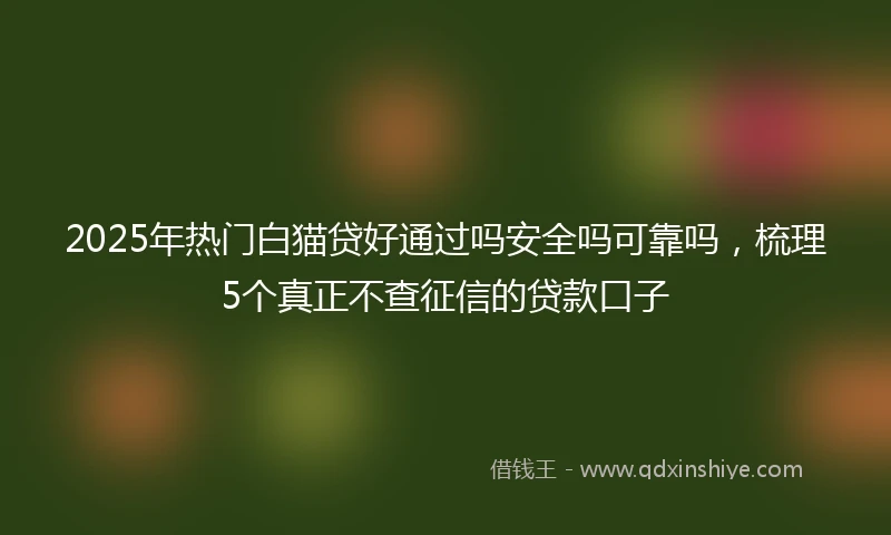 2025年热门白猫贷好通过吗安全吗可靠吗，梳理5个真正不查征信的贷款口子