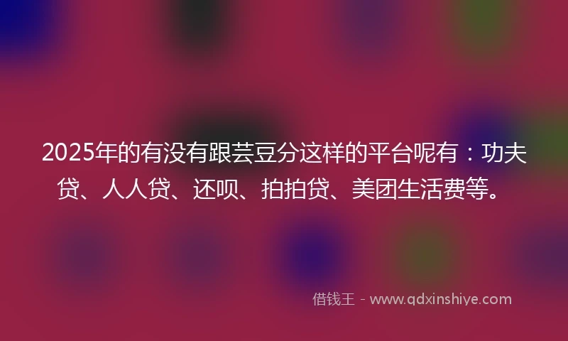 2025年的有没有跟芸豆分这样的平台呢有：功夫贷、人人贷、还呗、拍拍贷、美团生活费等。