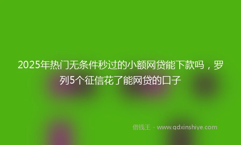 2025年热门无条件秒过的小额网贷能下款吗，罗列5个征信花了能网贷的口子