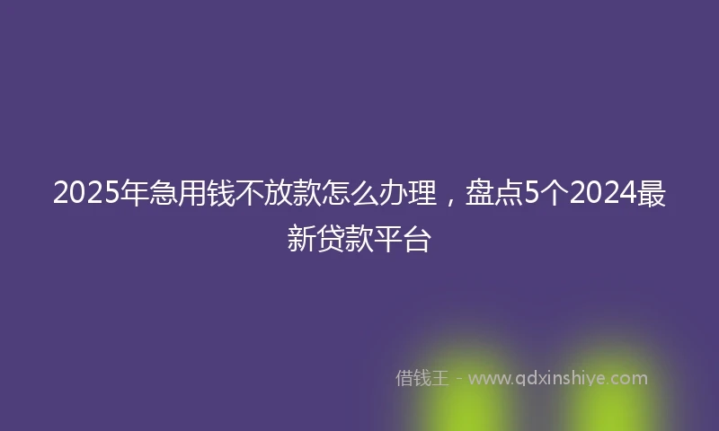 2025年急用钱不放款怎么办理，盘点5个2024最新贷款平台