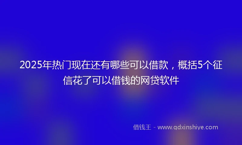 2025年热门现在还有哪些可以借款，概括5个征信花了可以借钱的网贷软件