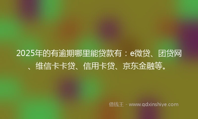 2025年的有逾期哪里能贷款有：e微贷、团贷网、维信卡卡贷、信用卡贷、京东金融等。