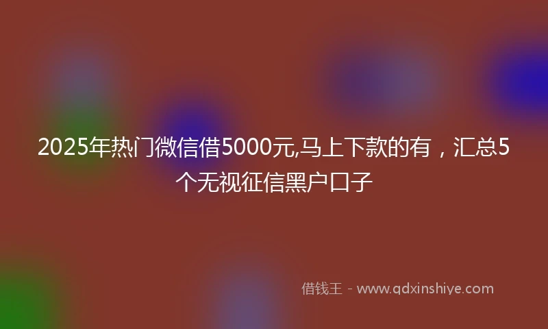 2025年热门微信借5000元,马上下款的有，汇总5个无视征信黑户口子