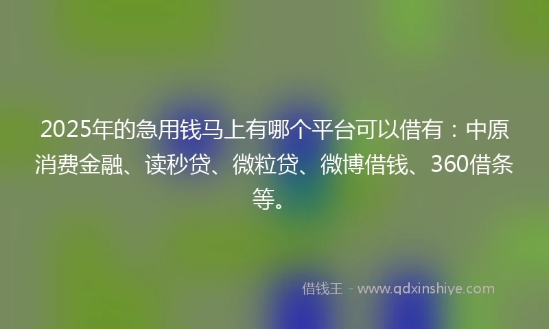 2025年的急用钱马上有哪个平台可以借有：中原消费金融、读秒贷、微粒贷、微博借钱、360借条等。
