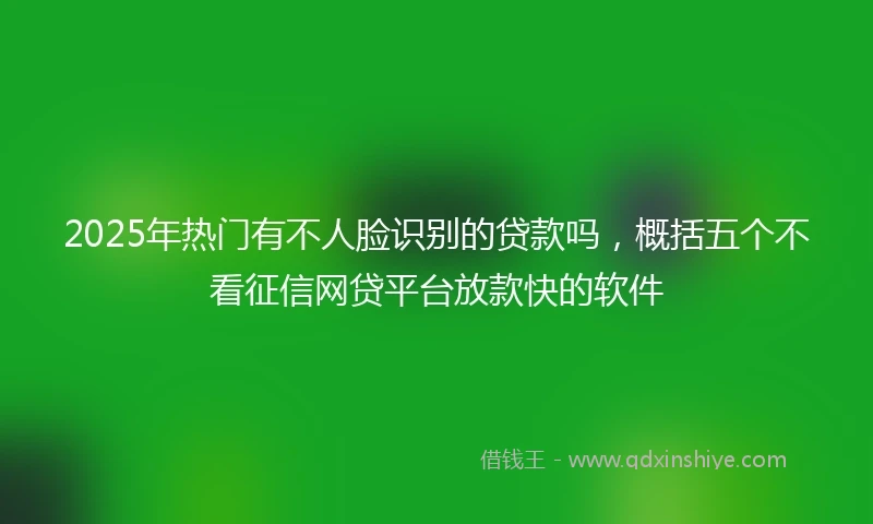 2025年热门有不人脸识别的贷款吗，概括五个不看征信网贷平台放款快的软件