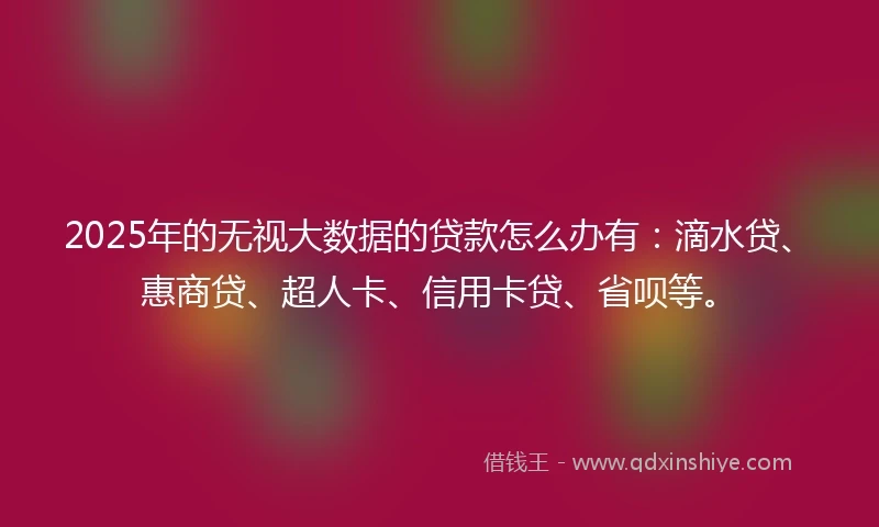 2025年的无视大数据的贷款怎么办有：滴水贷、惠商贷、超人卡、信用卡贷、省呗等。