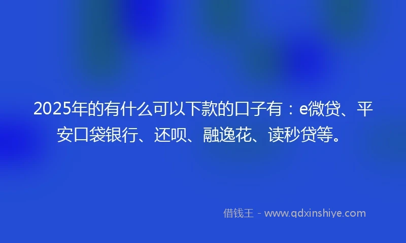 2025年的有什么可以下款的口子有：e微贷、平安口袋银行、还呗、融逸花、读秒贷等。