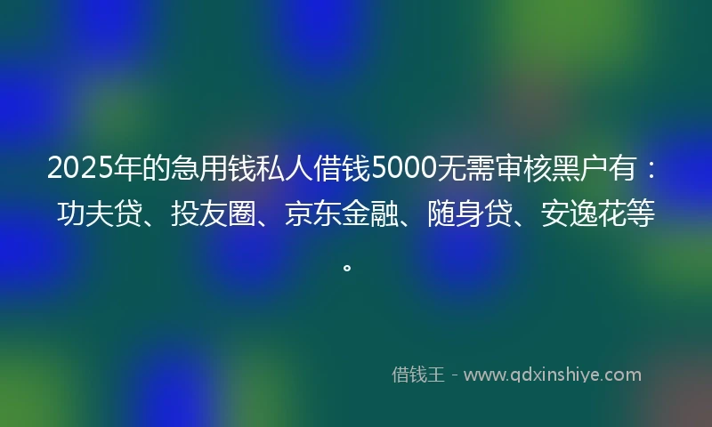 2025年的急用钱私人借钱5000无需审核黑户有：功夫贷、投友圈、京东金融、随身贷、安逸花等。