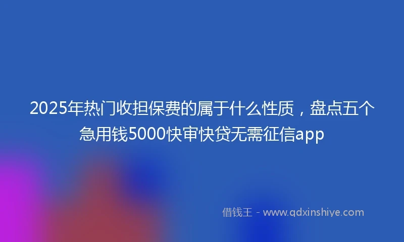 2025年热门收担保费的属于什么性质，盘点五个急用钱5000快审快贷无需征信app
