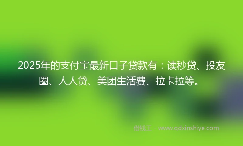 2025年的支付宝最新口子贷款有：读秒贷、投友圈、人人贷、美团生活费、拉卡拉等。