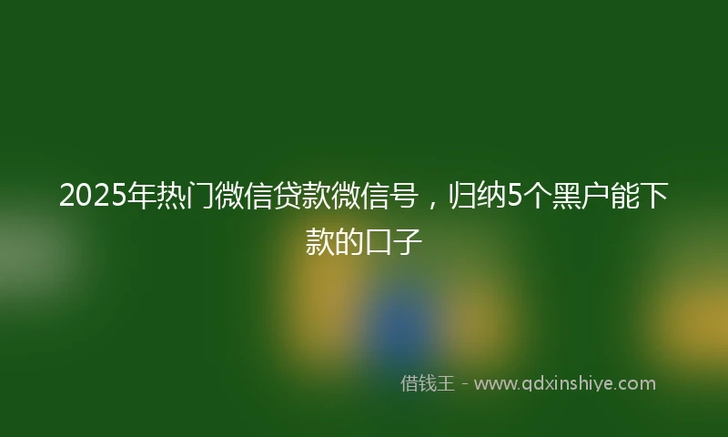 2025年热门微信贷款微信号，归纳5个黑户能下款的口子