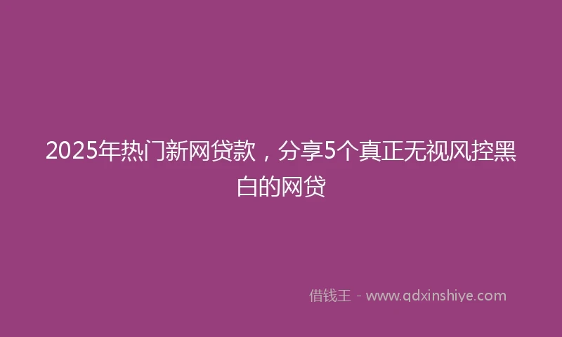 2025年热门新网贷款，分享5个真正无视风控黑白的网贷