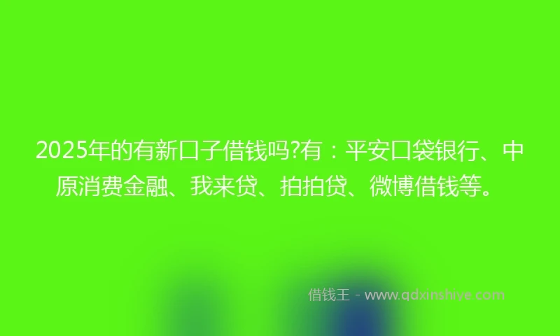 2025年的有新口子借钱吗?有：平安口袋银行、中原消费金融、我来贷、拍拍贷、微博借钱等。