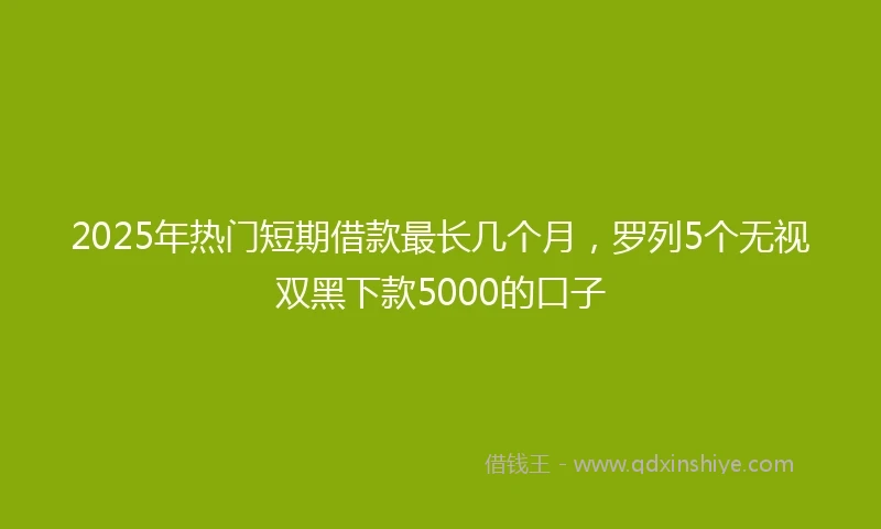 2025年热门短期借款最长几个月，罗列5个无视双黑下款5000的口子