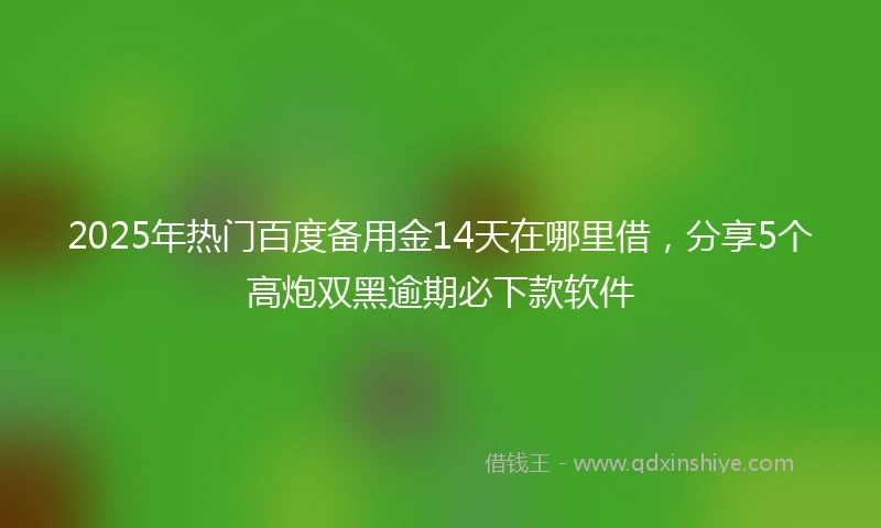 2025年热门百度备用金14天在哪里借，分享5个高炮双黑逾期必下款软件