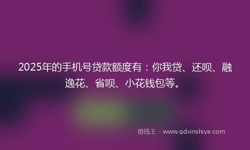 2025年的手机号贷款额度有：你我贷、还呗、融逸花、省呗、小花钱包等。