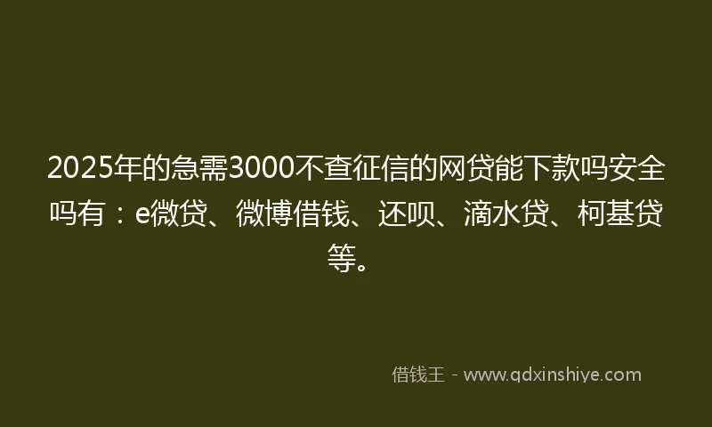 2025年的急需3000不查征信的网贷能下款吗安全吗有：e微贷、微博借钱、还呗、滴水贷、柯基贷等。