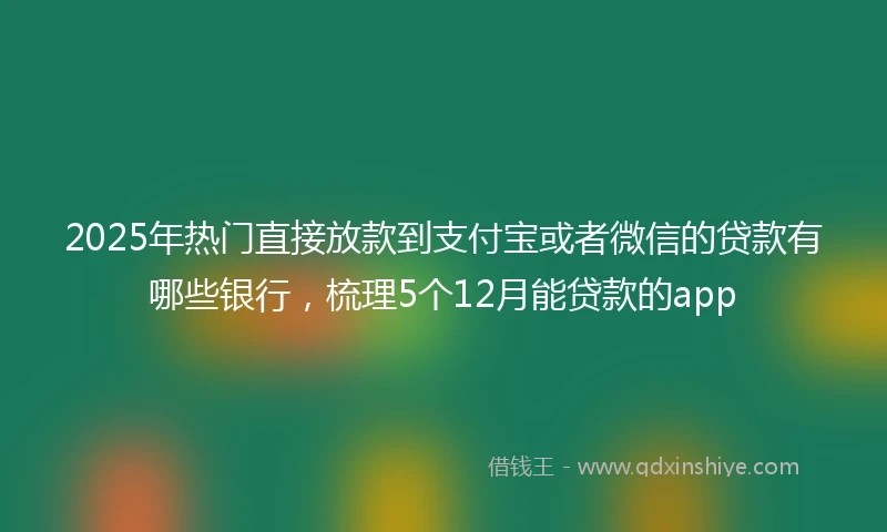 2025年热门直接放款到支付宝或者微信的贷款有哪些银行，梳理5个12月能贷款的app
