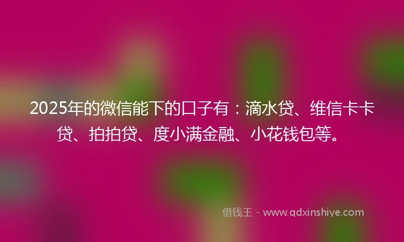 2025年的微信能下的口子有：滴水贷、维信卡卡贷、拍拍贷、度小满金融、小花钱包等。
