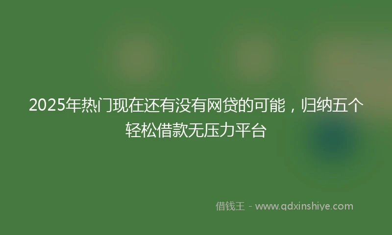 2025年热门现在还有没有网贷的可能，归纳五个轻松借款无压力平台
