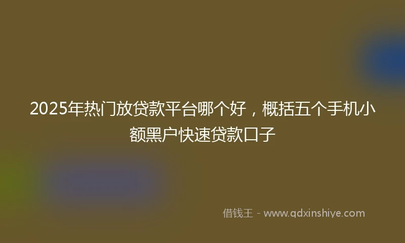 2025年热门放贷款平台哪个好，概括五个手机小额黑户快速贷款口子